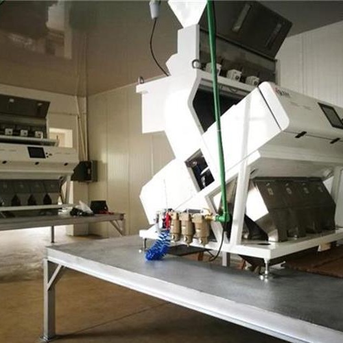 اثنين من نوع شلال zx4 نوع فطر الأذن يهودي آلة فرز اللون المثبتة في تشجيانغ